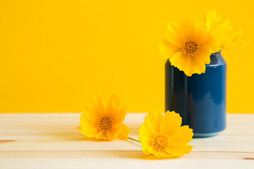 yellow common cosmos with vintage empty can on wooden table