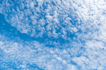 Altocumulus cloudscape on blue blue sky, Beautiful Cirrocumulus or Altocumulus on the middle altitude layer