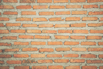 The old red brick surface that forms a wall layer is the background.