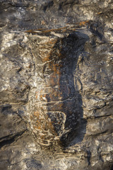 Grand Canyon of Thailand, Sam Phan Bok.
