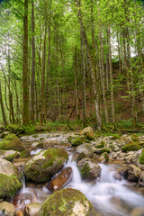 Luteren-Fluss im Toggenburg