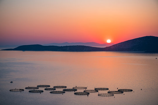 Fototapeta Colorful sunrise over fish farm in sea, Greece