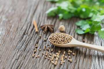 Coriander seed and leaf on wood background.