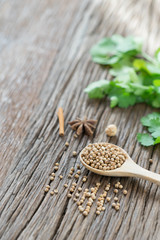 Coriander seed and leaf on wood background.