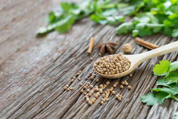 Coriander seed and leaf on wood background.
