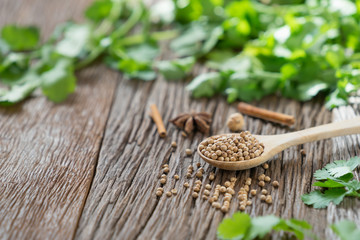 Coriander seed and leaf on wood background.