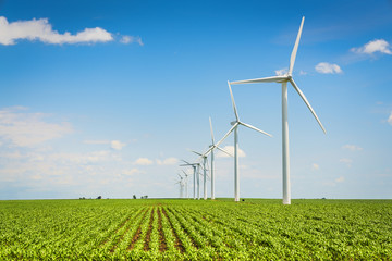 Wind farm and countryside corn field, agriculture industry - Powered by Adobe
