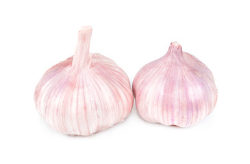 garlic isolated on white background. Two garlics over a white background
