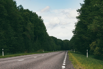Straight empty asphalt road in forest area