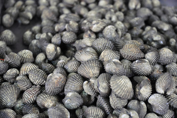 Fresh cockle in seafood market