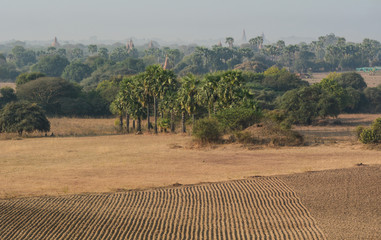 Buddhist temples in Bagan, Myanmar