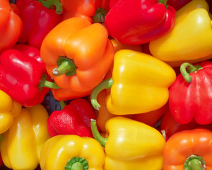 colorful bell peppers, natural background
