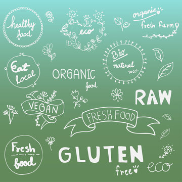 Set of hand drawn style badges and elements for organic food and drink, natural products,Vector illustrations.
