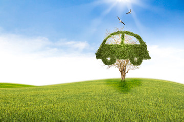 Concept car recycle of life. Big alone tree in the field.