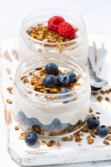 healthy creamy dessert with fresh berries, closeup