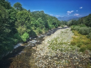 Fototapeta na wymiar fiume Varaita con alberi