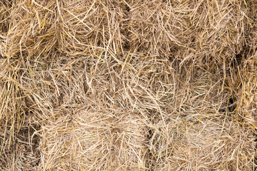 rice straw background