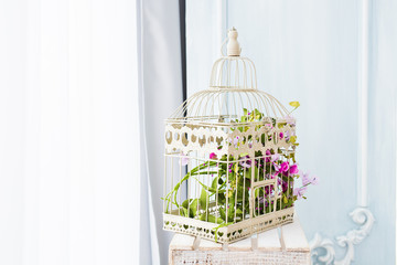 Shabby chic decorating with beautiful vintage birdcage and flowers