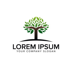 Obraz premium tree logo design concept template