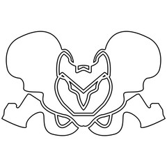 Pelvis skeleton black color path icon .