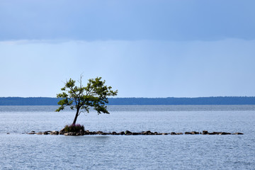 Small rocky island and lonely tree middle of the lake.