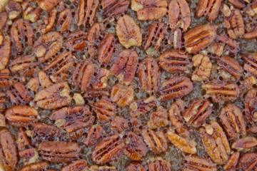 Pecan pie close up