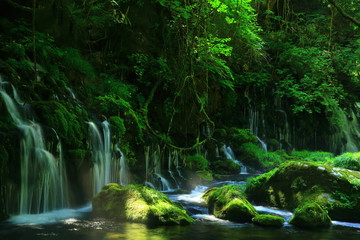 夏の元滝伏流水