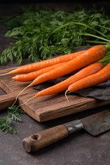 Fresh and sweet carrot