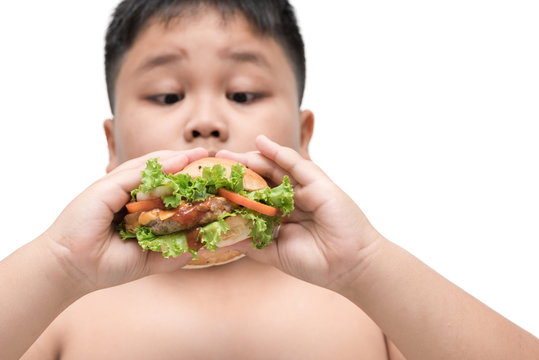 Pork Hamburger On Obese Fat Boy Hand Background Isolated