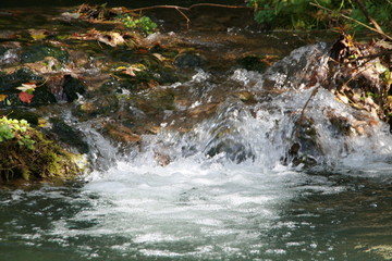 Fototapeta premium Quelle