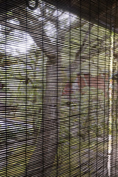 Tree seen from window blinds, Kyoto, Japan