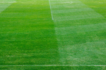 Obraz premium Green soccer field texture