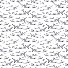 Sharks. Hand drawn seamless pattern. Vector illustration on white background
