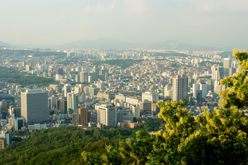 Fototapeta na wymiar Seoul city street view from top in summer