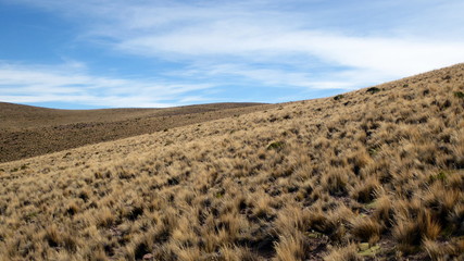 Dry desert in Argentina
