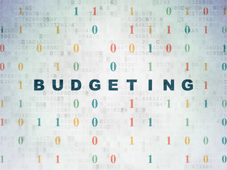 Fototapeta na wymiar Finance concept: Budgeting on Digital Data Paper background