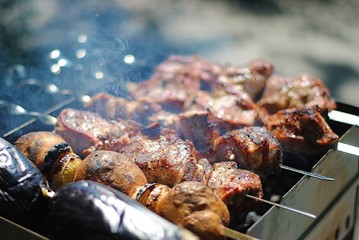 summer  barbecue