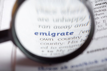 Dictionary definition of word