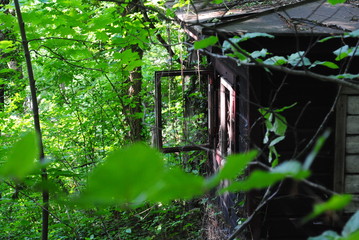 Verwitterte H&uuml;tte im Wald