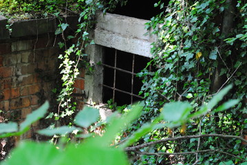 Verwitterte H&uuml;tte im Wald