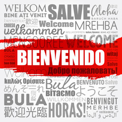 Bienvenido , Welcome in Spanish, word cloud in different languages, conceptual background