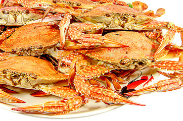 Crabs.Hot Steamed Crabs on a plate isolated on white background,Serrated mud crab, business people...