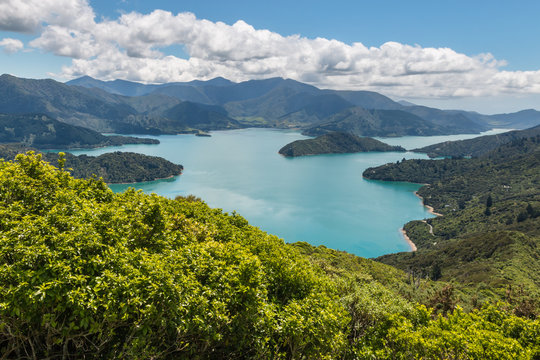 aerial view of Queen Charlotte Sound in Marlborough Sounds, South Island, New Zealand