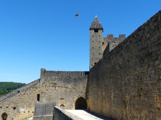 périgord