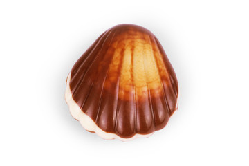 chocolate seashells on white background