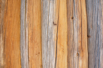 Wooden log background
