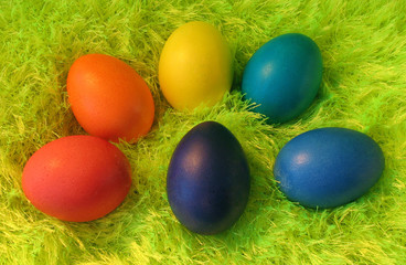 Six easter eggs on green shaggy carpet