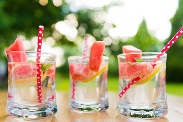 Cold Summer Lemonade with slices of watermelon, lemon and garnished with fresh mint