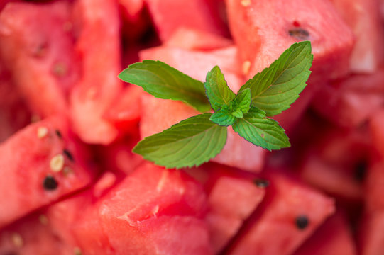 Red sweet watermelon pieces garnished with fresh mint