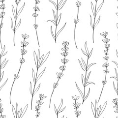 Seamless vector floral pattern, hand drawn graphic Lavender flower, decorative texture, sketch isolated on background, for wallpaper, textile, fabric, design packaging, scrapbooking, wedding card